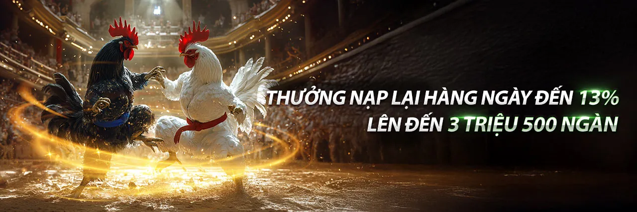 Sân đấu gà trực tuyến sôi động tại king79 code