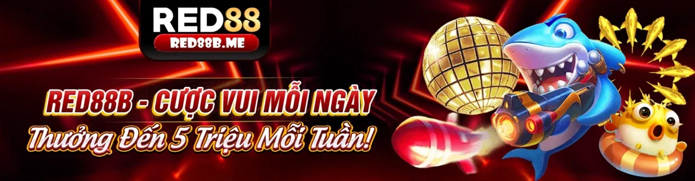 Người chơi king79 code đang trải nghiệm cá cược trực tuyến